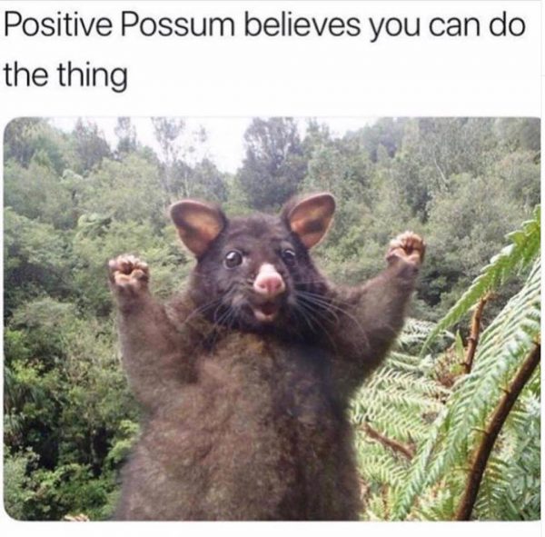 Positive Possum